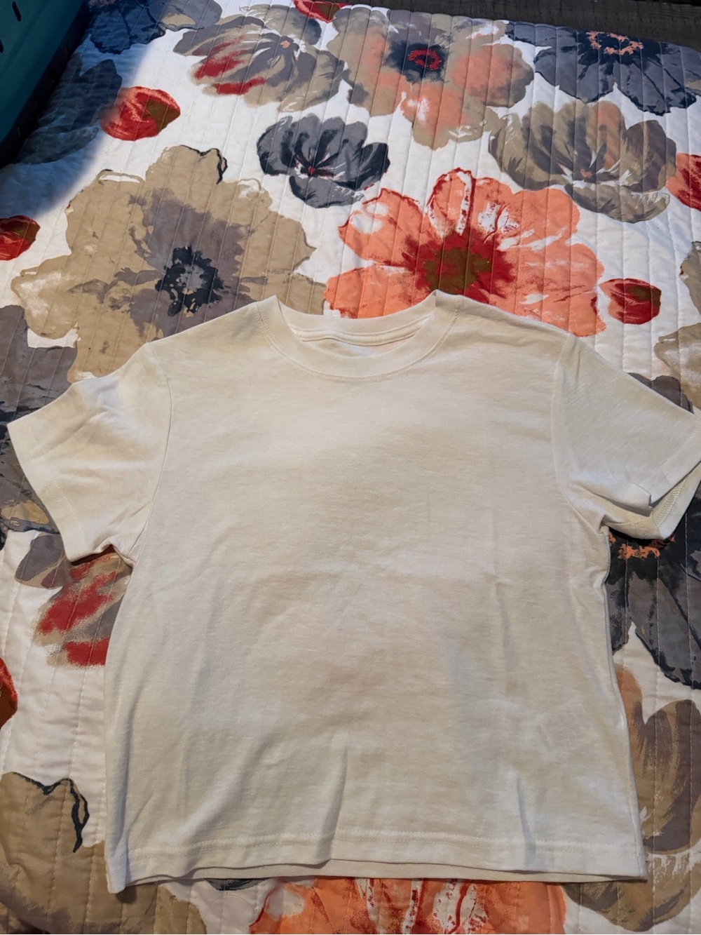 EUC Urban Outfitters BDG cropped T Shirt